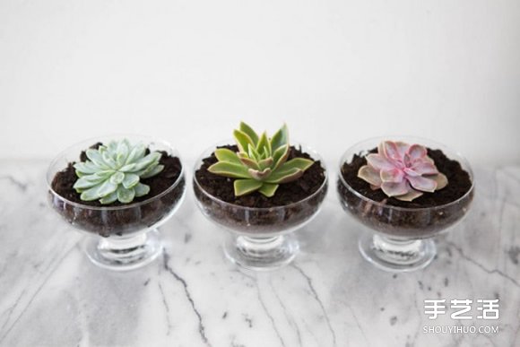 让家更多彩缤纷,不可不知的花朵装饰小技巧 让家更多彩缤纷,不可不知的花朵装饰小技巧