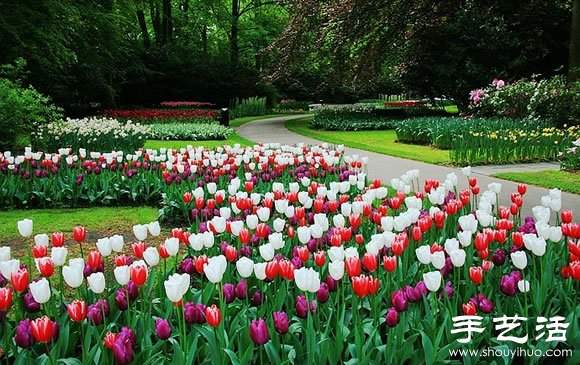春季最美的花园——库肯霍夫公园 春季最美的花园——库肯霍夫公园