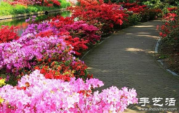 春季最美的花园——库肯霍夫公园 春季最美的花园——库肯霍夫公园