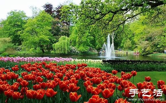 春季最美的花园——库肯霍夫公园 春季最美的花园——库肯霍夫公园