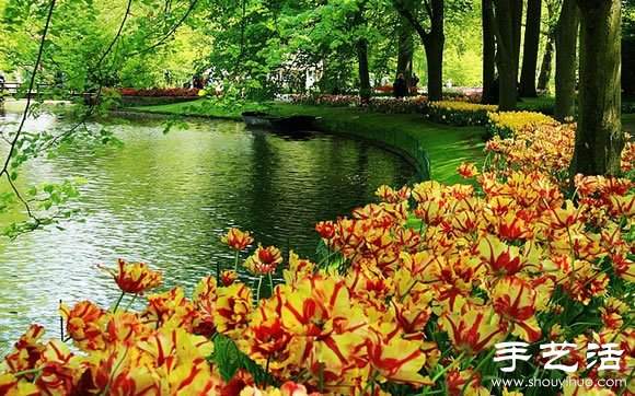 春季最美的花园——库肯霍夫公园 春季最美的花园——库肯霍夫公园
