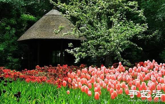 春季最美的花园——库肯霍夫公园 春季最美的花园——库肯霍夫公园