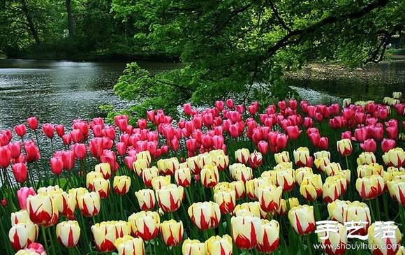 春季最美的花园——库肯霍夫公园 春季最美的花园——库肯霍夫公园