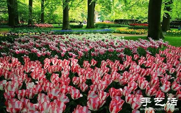 春季最美的花园——库肯霍夫公园 春季最美的花园——库肯霍夫公园