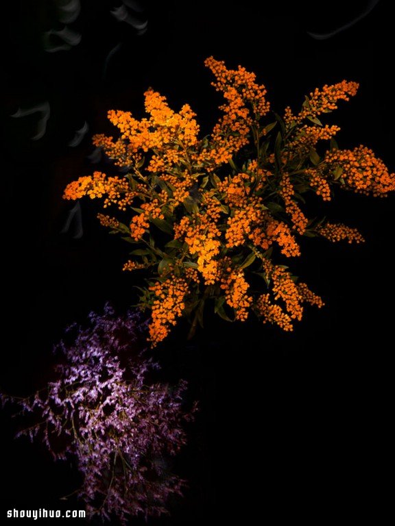 Flowerwork 德国艺术家设计的花朵烟花 Flowerwork 德国艺术家设计的花朵烟花