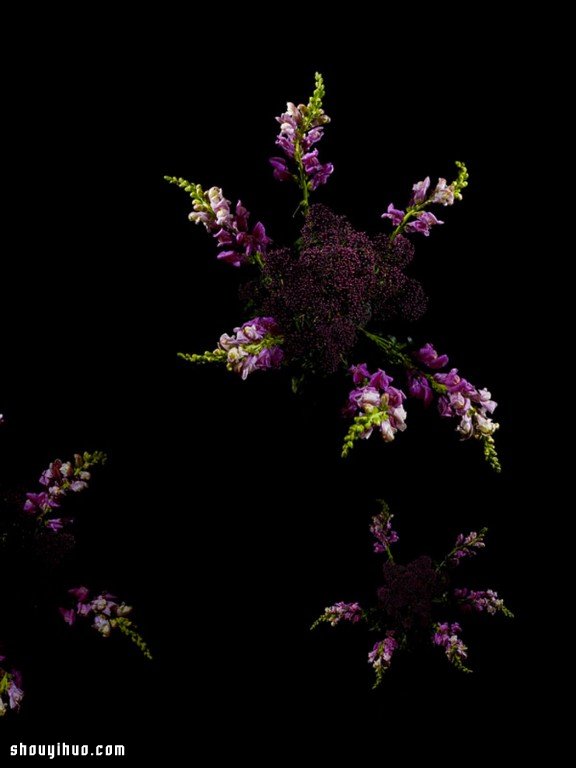 Flowerwork 德国艺术家设计的花朵烟花 Flowerwork 德国艺术家设计的花朵烟花