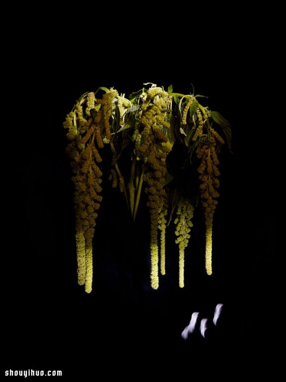 Flowerwork 德国艺术家设计的花朵烟花 Flowerwork 德国艺术家设计的花朵烟花