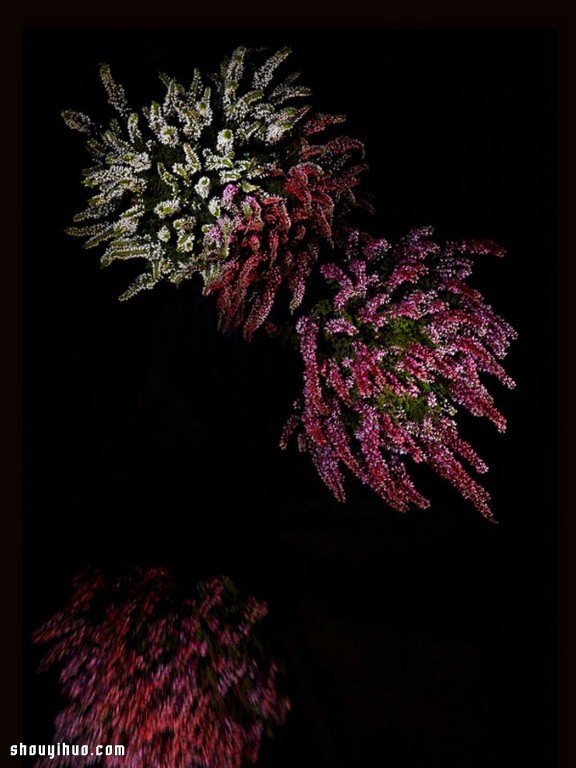 Flowerwork 德国艺术家设计的花朵烟花 Flowerwork 德国艺术家设计的花朵烟花