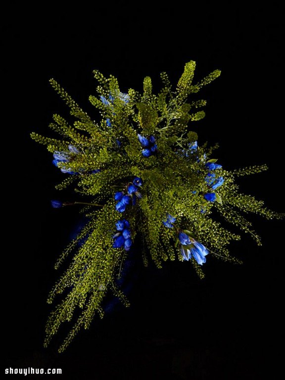 Flowerwork 德国艺术家设计的花朵烟花 Flowerwork 德国艺术家设计的花朵烟花