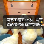 园艺工程工业化:雷军式的激情重新定义现代园林(图4) 园艺工程工业化:雷军式的激情重新定义现代园林(图4)