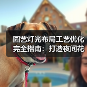 园艺灯光布局工艺优化完全指南:打造夜间花园新体验(图2) 园艺灯光布局工艺优化完全指南:打造夜间花园新体验(图2)