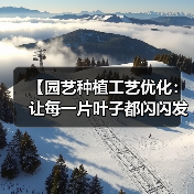 【园艺种植工艺优化：让每一片叶子都闪闪发光的2026秘籍】（图2）