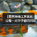【园艺种植工艺优化：让每一片叶子都闪闪发光的2026秘籍】（图3）