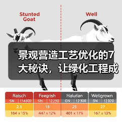 景观营造工艺优化的7大秘诀，让绿化工程成本直降35%（图4）