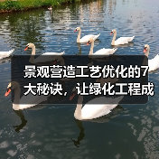 景观营造工艺优化的7大秘诀，让绿化工程成本直降35%（图1）