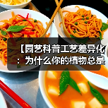 【园艺科普工艺差异化：为什么你的植物总是养不好？揭秘专业园艺师的4个独门秘籍】（图2）