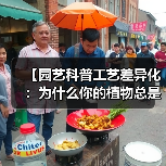 【园艺科普工艺差异化：为什么你的植物总是养不好？揭秘专业园艺师的4个独门秘籍】（图3）