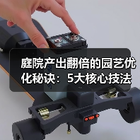 庭院产出翻倍的园艺优化秘诀:5大核心技法全解析(图4) 庭院产出翻倍的园艺优化秘诀:5大核心技法全解析(图4)