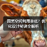 园艺空间利用率低?优化设计秘诀全解析(图2) 园艺空间利用率低?优化设计秘诀全解析(图2)