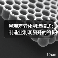 景观差异化制造模式：制造业利润飙升的终极解决方案（图1）