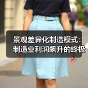 景观差异化制造模式：制造业利润飙升的终极解决方案（图2）