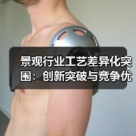 景观行业工艺差异化突围:创新突破与竞争优势构建(图2) 景观行业工艺差异化突围:创新突破与竞争优势构建(图2)