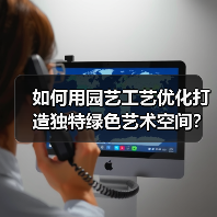 如何用园艺工艺优化打造独特绿色艺术空间?(图4) 如何用园艺工艺优化打造独特绿色艺术空间?(图4)