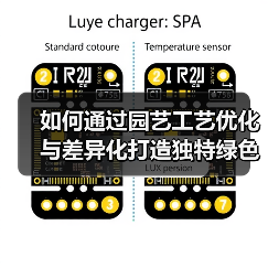 如何通过园艺工艺优化与差异化打造独特绿色空间?(图2) 如何通过园艺工艺优化与差异化打造独特绿色空间?(图2)