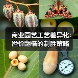 商业园艺工艺差异化:溢价翻倍的制胜策略(图4) 商业园艺工艺差异化:溢价翻倍的制胜策略(图4)