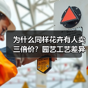 为什么同样花卉有人卖三倍价?园艺工艺差异化真相曝光(图3) 为什么同样花卉有人卖三倍价?园艺工艺差异化真相曝光(图3)