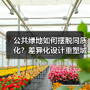 公共绿地如何摆脱同质化？差异化设计重塑城市绿洲（图2）