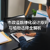 市政道路绿化设计原则与植物选择全解析(图1) 市政道路绿化设计原则与植物选择全解析(图1)