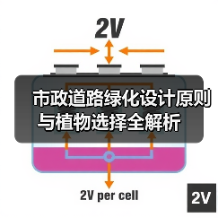 市政道路绿化设计原则与植物选择全解析(图4) 市政道路绿化设计原则与植物选择全解析(图4)