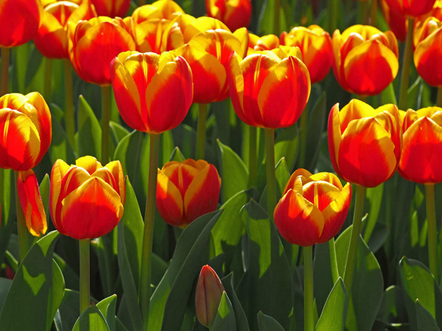 20200923150525_117610.jpg 20200923150525_117610.jpg