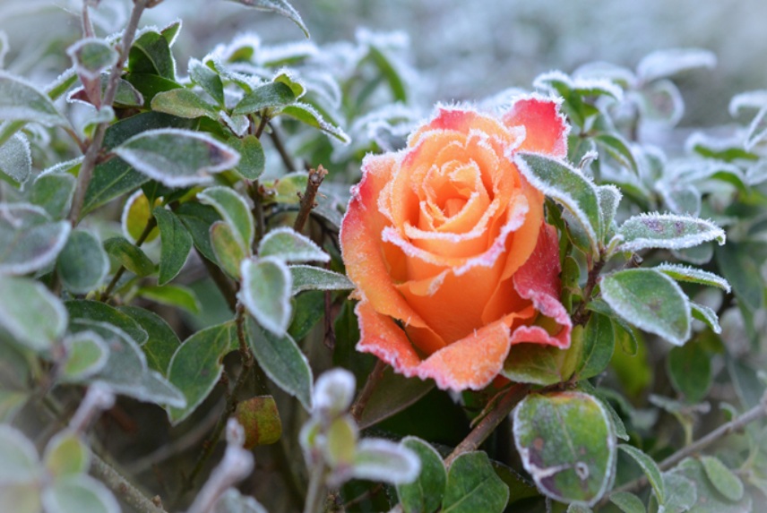 resized-2.jpg resized-2.jpg