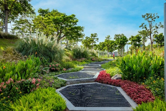 震撼!地产绿化设计让生活“更绿更美”!绿色细节带来前所未有的 震撼!地产绿化设计让生活“更绿更美”!绿色细节带来前所未有的