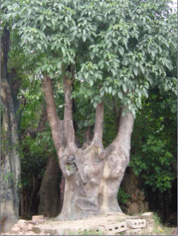 resized-微信图片_20251127233036_387_17.jpg resized-微信图片_20251127233036_387_17.jpg