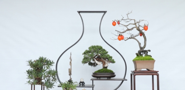 如皋花木园艺师：从盆景艺术到乡村振兴的劳务品牌