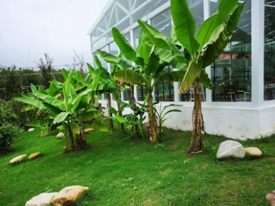 景观设计的艺术与自然完美碰撞!打造城市与自然共生的绿色奇迹! 景观设计的艺术与自然完美碰撞!打造城市与自然共生的绿色奇迹!