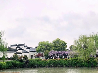 江南园林震撼揭示!自然与人文的诗意交融,涵境园艺的设计传承! resized-微信图片_20251128140210_680_39.jpg