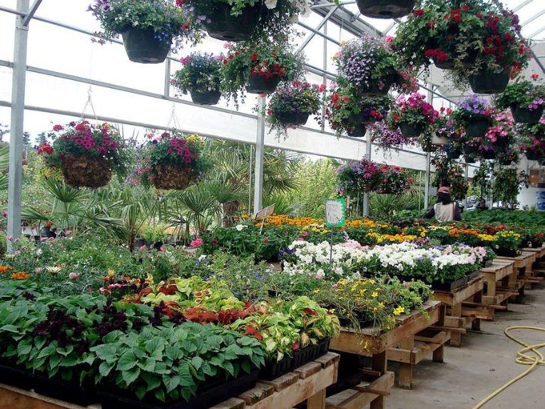 resized-17.jpg resized-17.jpg