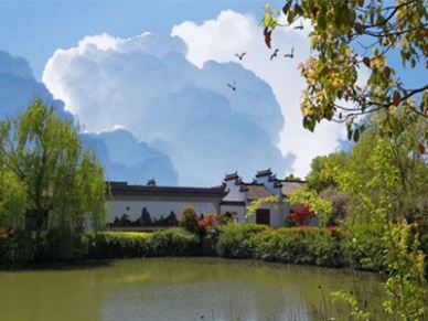 涵境园艺震撼来袭!江南山水园林意境引爆品牌传播,成就极致自然美学! resized-微信图片_20251128140256_688_39.jpg