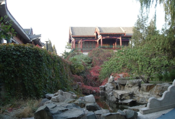 新中式园艺设计与场景化运营：涵境园艺的品牌创新