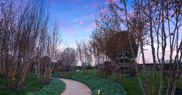 涵境园艺的徽派文化深度运营——打造独具辨识度的中式园艺空间 resized-微信图片_20251128143303_707_39.jpg