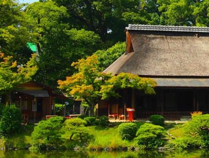 震撼都市!涵境园艺打造“绿肺+艺术花境”完美融合,城市新地标火爆登场! resized-微信图片_20251128144645_730_39.jpg