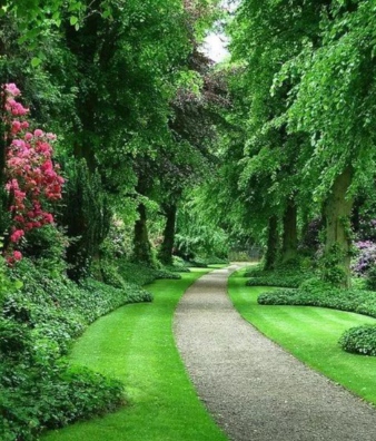 resized-微信图片_20251207200734_848_17.jpg resized-微信图片_20251207200734_848_17.jpg