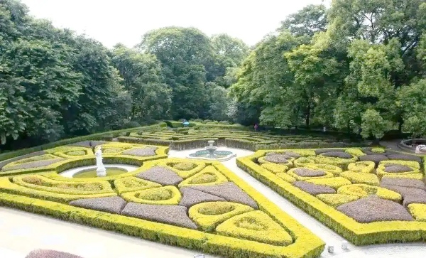 想要绿化景观四季常青?这10个园林绿化养护技巧让你的绿植秒变艺术品! resized-微信图片_20251209111358_1360_39.jpg