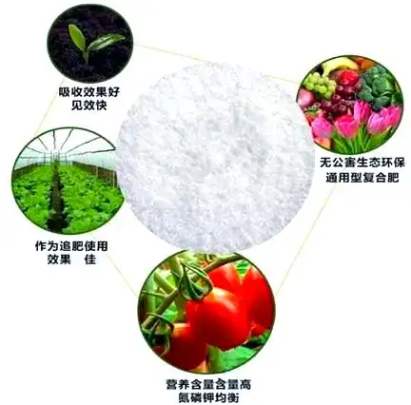 揭秘!化学肥料如何影响作物生长?你知道这些重要功能吗? resized-微信图片_20251210135453_1436_39.jpg