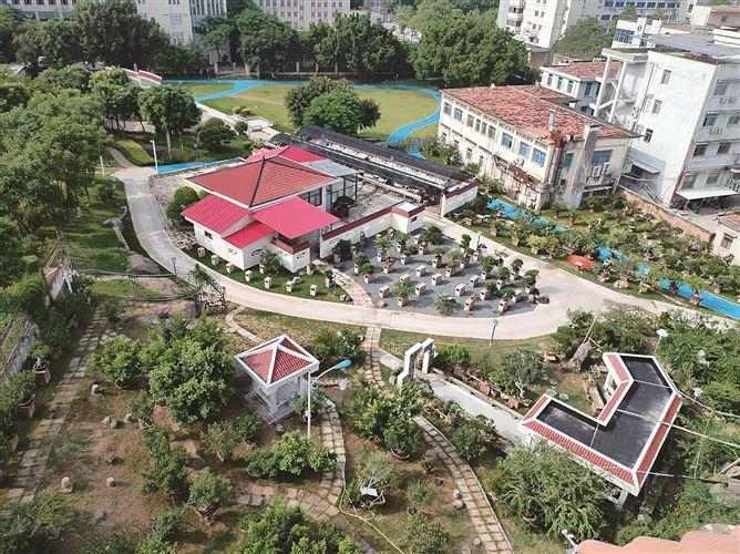 全国首座闽派盆景主题专类公园开放